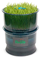 Tribest-Freshlife-Automatic-Sprouter.jpg