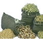 Tribest-Sproutmans-Hemp-Sprouting-Bag.jpg