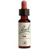 bach-flower-remedies-oak-essence.jpg