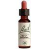 bach-flower-remedies-star-bethlehem.jpg